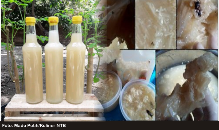 LEBIH DEKAT DENGAN MADU PUTIH KHAS DOMPU, NUSA TENGGARA BARAT