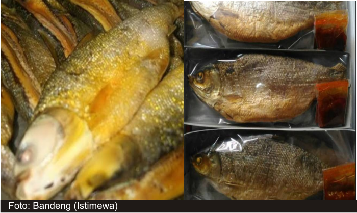 BANDENG PRESTO KHAS KABUPATEN BIMA, NUSA TENGGARA BARAT